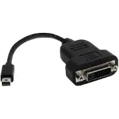 StarTech.com Aktiver Mini Displayport Auf Dvi Adapter