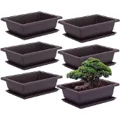Merkloos Elzusha – Set aus 6 Bonsai-Trainingsgefäßen mit Untersetzer