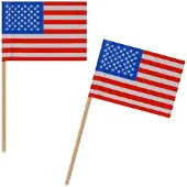 VEPATIM 2500x Fahnenpicker "Amerika" 10cm