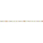 Brumberg 15572027
