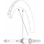 Mavic Kit 12 Front/rear Cosmic Sl 65 Disc Speichen