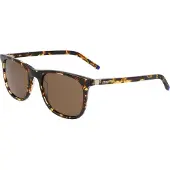 Zeiss ZS22509SP 242 MATTE AMBER TORTOISE 53/20/145 MALE Sonnenbrillen