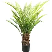 Creativ Green Kunstpflanze "Baumfarn Dicksonia", grün, H:115cm, Kunstpflanzen, Kunstpflanze, in beeindruckender Größe