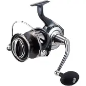 Daiwa Rolle 26 CERTATE SW 20000-P