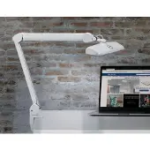 MAUL - Workplame Intro LED -Tischklemme dimmbarer Weiß | 1 Stück | 4 Stück