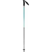 Atomic Redster Carbon Ultra teal tension 130