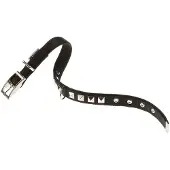 Ferplast Dual 15 Mm 35 Cm Hundehalsband