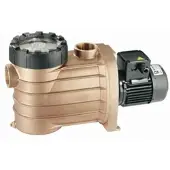 Speck BADU Bronze 22 230 V Schwimmbad Poolpumpe
