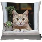 Apelt Dekokissen "Mimi", braun (beige, grau, bedruckt), B:46cm H:0,5cm L:46cm, Baumwolle, Polyester, Dekokissen_Sitzkissen_Kissenhüllen, Dekokissen, Lieblingskatze