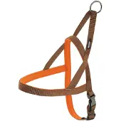 Nayeco Neoprene Hundegeschirr