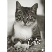 Merkloos XXL-Kalender 2027 – Elegante Katzenmotive in Schwarz-Weiß