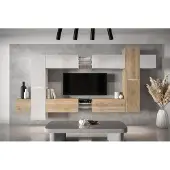 Furnitech Wohnwand Wohnzimmer - Wohnzimmer Schrankwand (AN91NEW-21WS-HGM21)