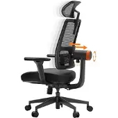 Selius Ergonomischer Bürostuhl, Schwarz – Gaming-Stuhl mit adaptiver Lendenwirbelstütze und 4D-Armlehnen