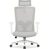 Selius Ergonomischer Bürostuhl mit verstellbarer Kopfstütze, Lendenwirbelstütze und Neigungsfunktion