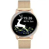 G. Rossi Damen Smartwatch SW015-4 Roségold (sg010d)