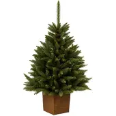 Kondela Weihnachtsbaum im Topf Elaris 160 cm - grün