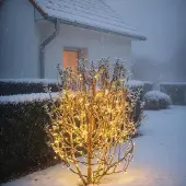 Esotec Solar Lichterkette Outdoor, 60 warmweiße LEDs, Weihnachtsdeko 103504