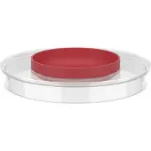 Mepal Chef it Rührschüssel spritzschutzdeckel rührschüssel chef it 3000 ml - coral Ø223 x 37 102308576900
