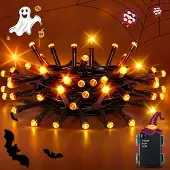 Dripio Lichterkette Halloween orange 2 m 20 LEDs IP65 Timer
