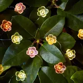Dripio Blumen-LED-Lichterkette, 20 warmweiße Micro-LEDs, 2,5 m, Timer, IP44