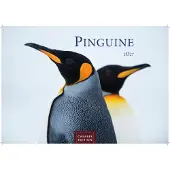 Merkloos Wandkalender 2027 mit Motiven von Pinguinen in Schwarz-Weiß