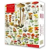 Sonstige Verlage Adult Sustainable Jigsaw Puzzle Mushrooms & Fungi by Adolphe Philippe Millot