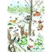 Sonstige Verlage Warum Tiere a. Weihn. freuen (Bergmoser)