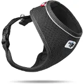 Curli Hundegeschirr Air-Mesh Schwarz, Größe M, Basic Modell, atmungsaktiv, Nylon