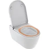 Duravit Kompakt-Dusch-Tief-WC Starck Pro 220-240 V, 50 Hz, riml, HG, HygieneUV