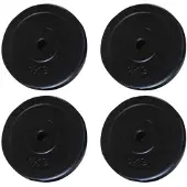 vidaXL Hantelscheiben 4 Stk. 20 kg
