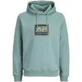 Jack & Jones Kapuzensweatshirt "JJRAIN SWEAT HOOD UNB"