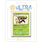 OEM Pokémon-Kartenbox: 10 französische Karten, Gortrom Shiny, SWSH 4.5