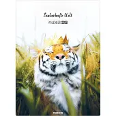 Sonstige Verlage Kalender 2026 - Zauberhafte Welt