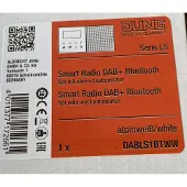 JUNG Smart DAB+ Digitalradio Bluetooth SetMono1LS DAB LS1 BT WW