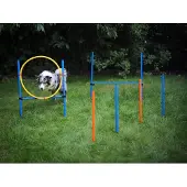 Merkloos Agility-Set für Hunde – Training mit Hindernissen und Sprungparcours