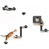 Dripio Katzenwand-Set, 5-teilig, Holz, mit Hängematte, schwarz