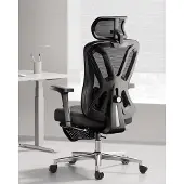 Dripio Ergonomischer Bürostuhl mit 2D-Lendenstütze, 135° Neigung, Schwarz