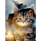Norimpex Diamantov maloven Katze mit Hut 30x40cm