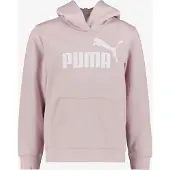 Puma Essential Nº1 Logo Kapuzenpullover