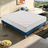 MaterassieDoghe Matratze 80x190 cm, Höhe 25 cm, Visco-Matratzen, H4