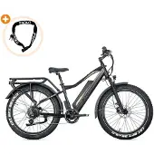 Jobobike Robin Pro - E-Fatbike inkl. Kettenschloss - 26 Zoll - 250W Motor - 180 km Reichweite - 8-Gang - Hydraulische Scheibenbremsen - 960Wh Akku - Vollfederung - Schwarz-Gold