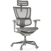 Dripio Ergonomischer Bürostuhl mit Lendenstütze, Netz, grau