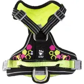 Hurtta Weekend Warrior - Neon Licorice 60-80 cm