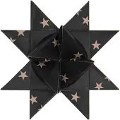 Sonstige Verlage Fröbelsterne, schwarz, Sterne, 60 StreifenMIX, 120 g/m²