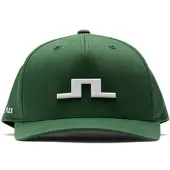 J.Lindeberg Heath Cap forest biome (M334) 56