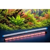 LEDaquaristik GmbH eco+ LED-Leiste PLANT-GROW