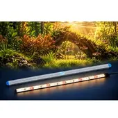 LEDaquaristik GmbH eco+ LED-Leiste SUNRISE 2800K