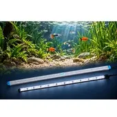 LEDaquaristik GmbH eco+ LED-Leiste DAYLIGHT 5000K