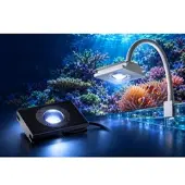 LEDaquaristik GmbH spotBEAM LED Leuchte SEAWATER