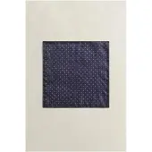Gant 9920414-409